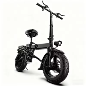 ZEFIORA Z10 48V 30mph eBike