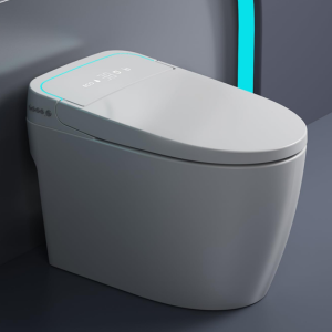 Smart Heated Toilet w/Auto Flush & Night Light