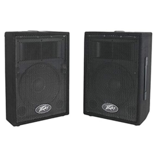 Peavey Two-Way 10