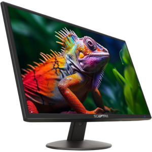 Sceptre 24'' 1080p LED Monitor