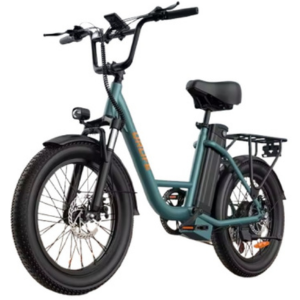 Fat Tire 1000W E20 eBike 7-Speed 48V