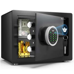 Electronic 1.2 Cu.Ft. Digital Safe Box