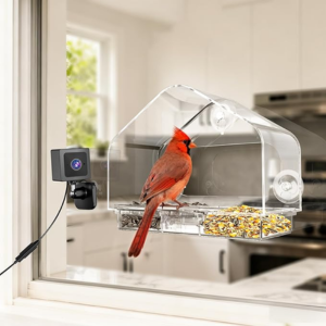 Suction Cup Mount Clear Window Bird Feeder w/2K Camera
