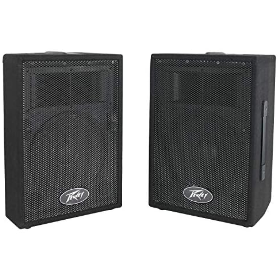 Peavey Two-Way 10