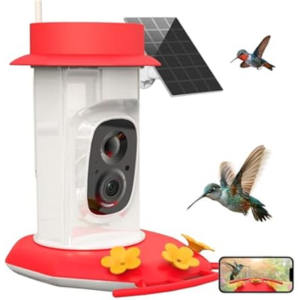 Cetie Hummingbird Feeder w/Camera