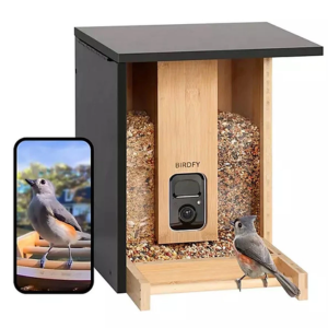 Birdfy Bamboo Solar Bird Feeder w/Camera