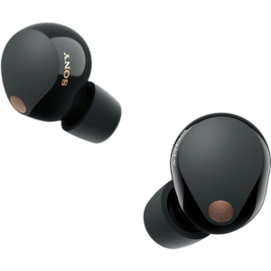 Sony Truly Wireless NC Earbuds