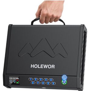 Handheld Biometric Dual Gun Safe