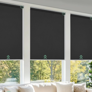 Motorized Blackout Window Blinds w/Alexa