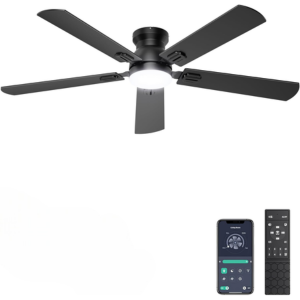 Ceiling Light Fan w/APP & Remote